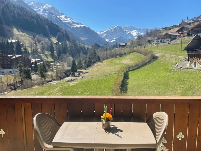 1 Bedroom Comfort Apartment with mountain view