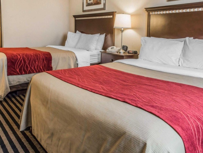 Standard Quadruple room