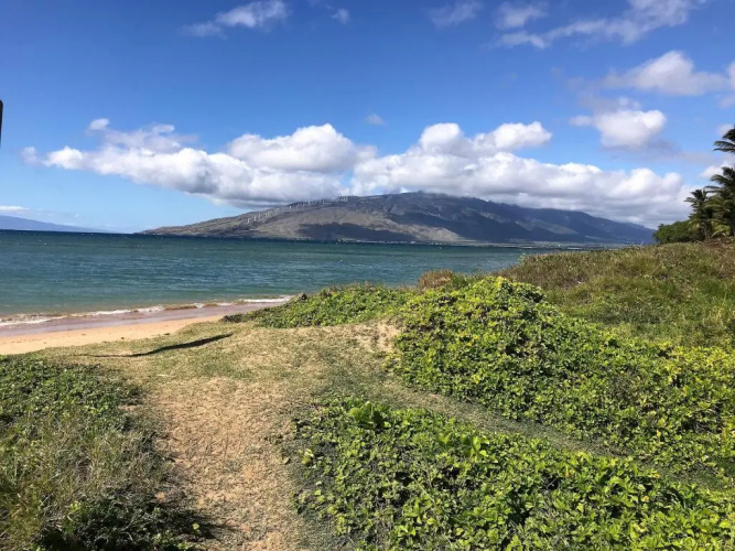 Aloha WAI2