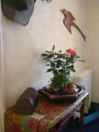 Chambre Albi