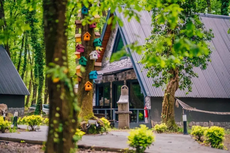 Sapanca Meselik Park Bungalow