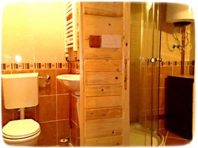 Art Apartments Minic