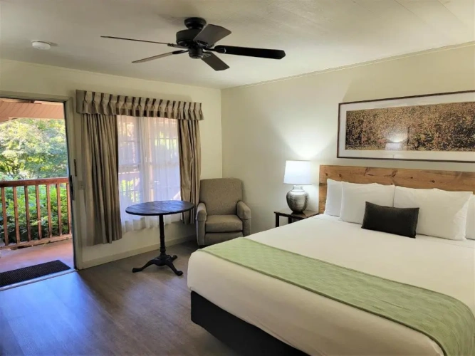 Standard Double room with balcony and with view
