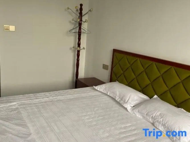 Standard Double room with lake view