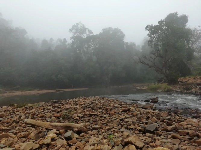 Coorg River Rock Camping