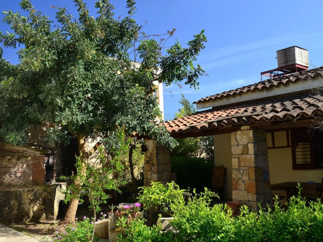 Cottage