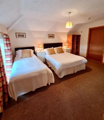 Deluxe Triple room