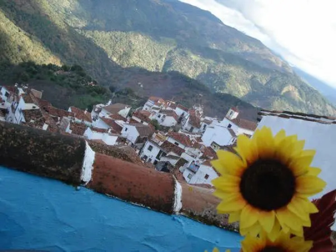 La Parra