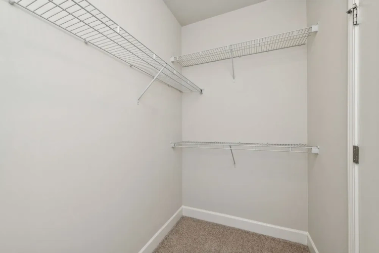 Classic Apartment