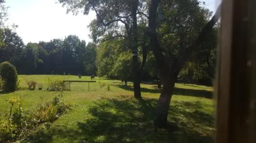 Skrzydło Anioła