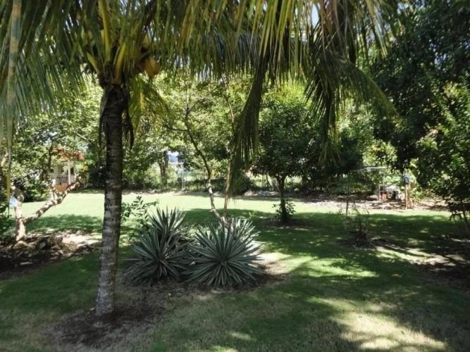 Outside