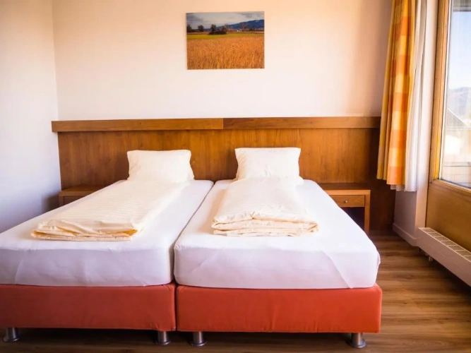 Standard Double room with garden view