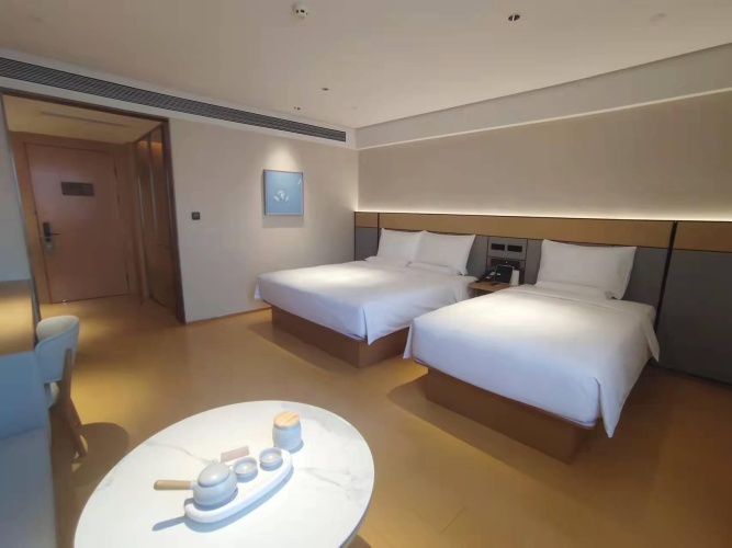 Standard Double room with mountain view