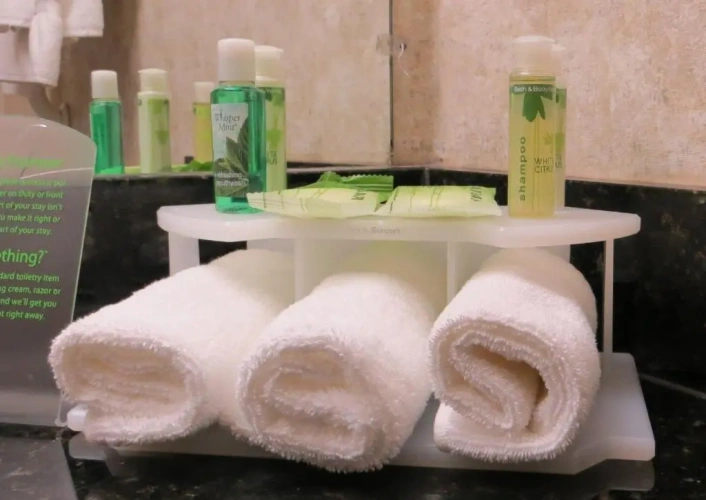 Deluxe Double Suite
