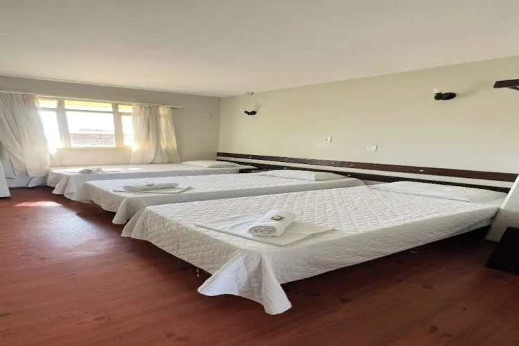 Standard Triple room with garden view
