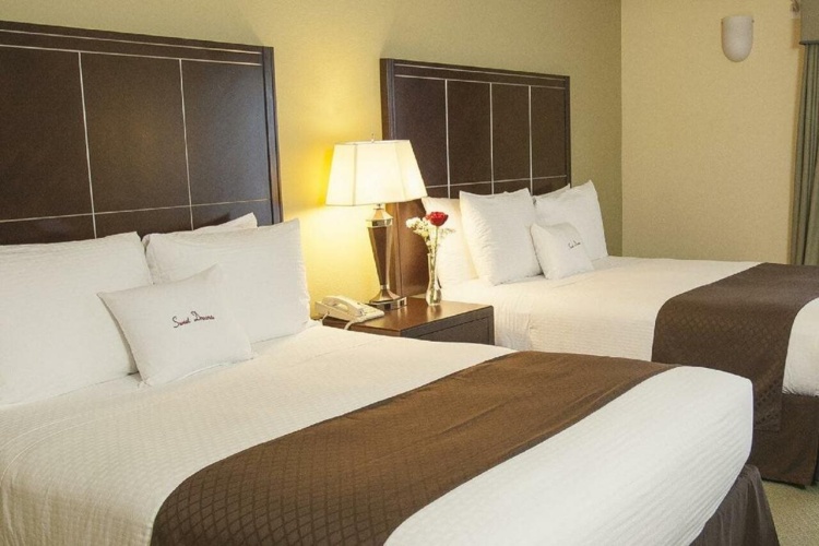 DoubleTree by Hilton Napa Valley American Canyon photo 8