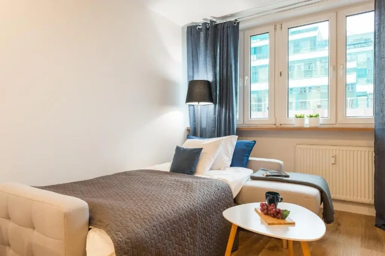 1 Bedroom Apartment