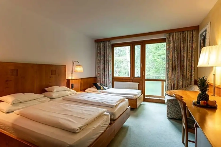 Standard Double room with balcony and with view