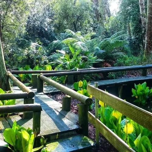 Kilmokea Country Manor & Gardens