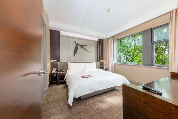 Premier Double Suite