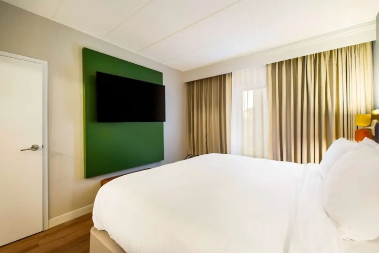 1 Bedroom Suite