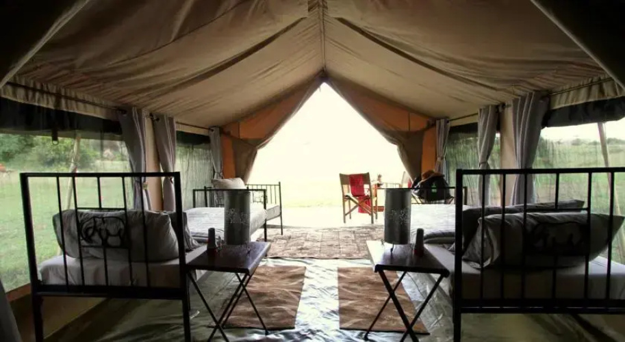 Camp Zebra