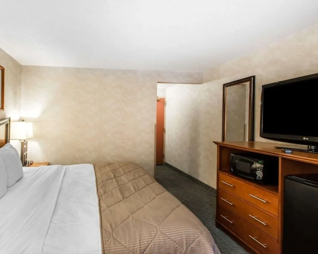 Standard Double room with pool view