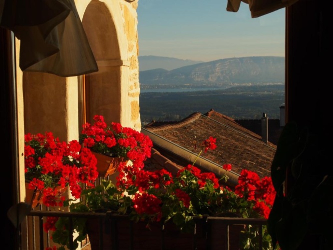 Superior Double room with view