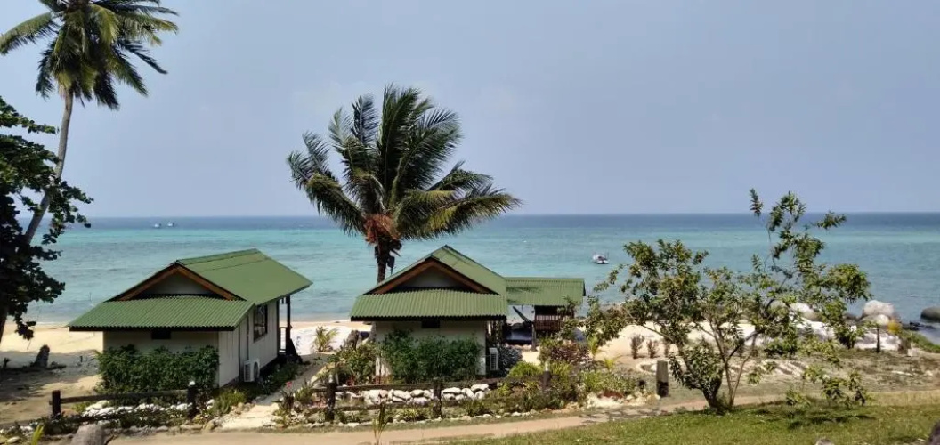 Beach House