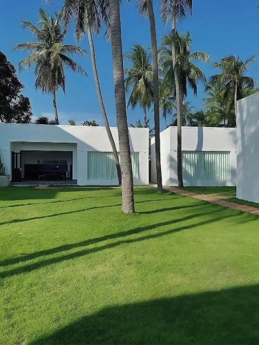 Cesar Homestay