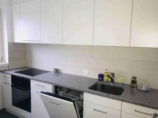 3 Room Premium Apartment Buchs SG