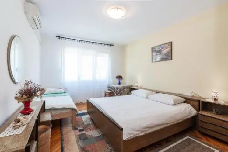 Apartment Vida