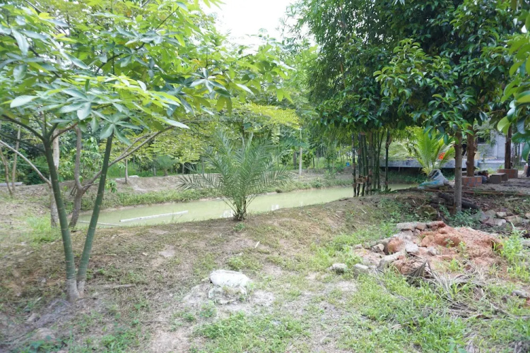 See-Din Studio & FarmStay