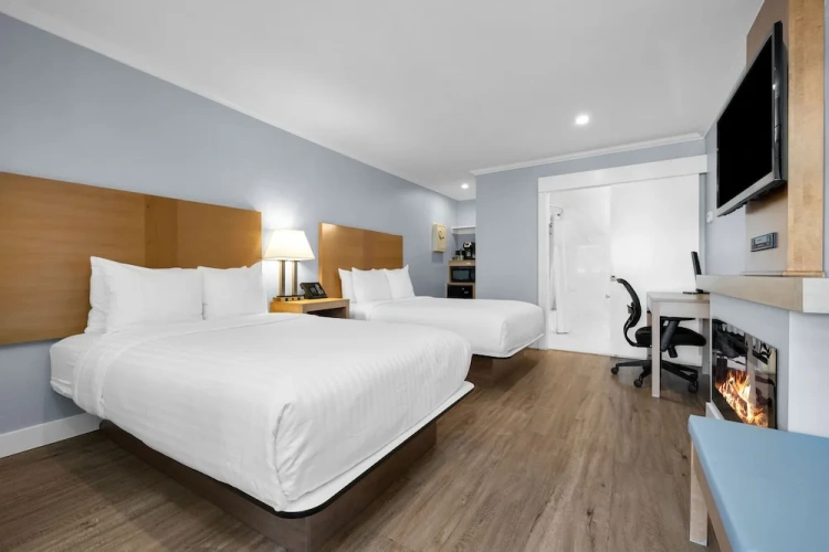 Quadruple Junior Suite