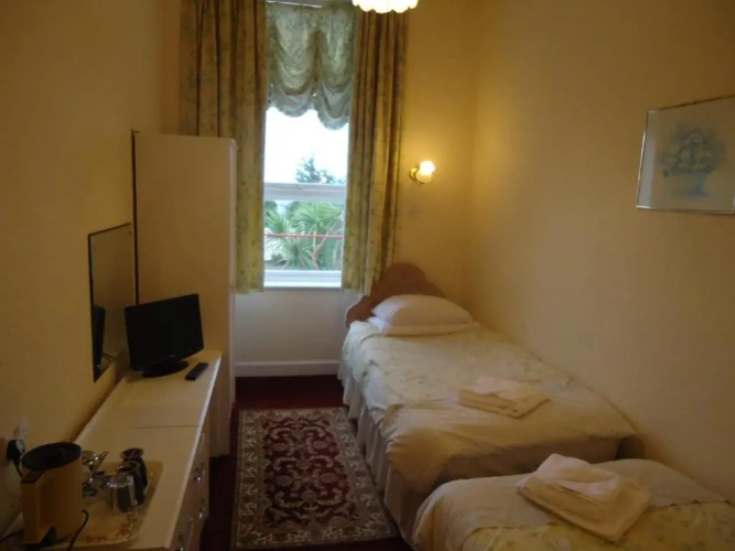 Standard Twin room with view