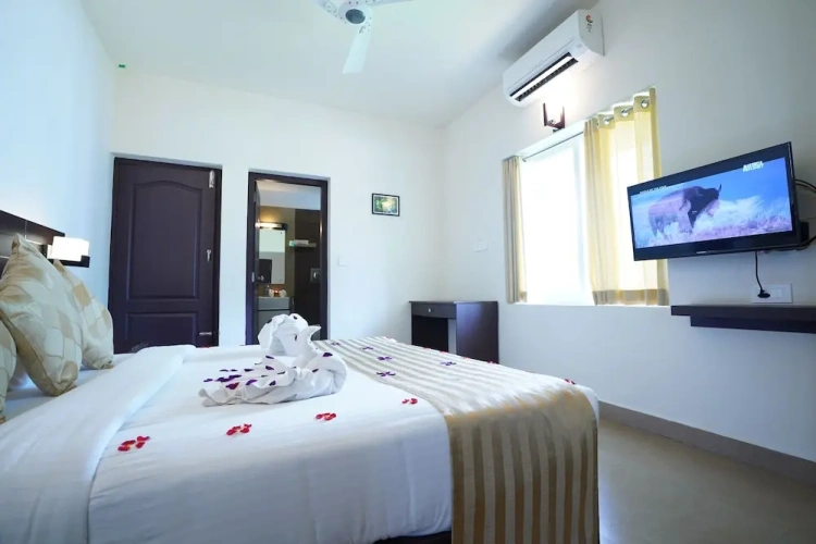 Deluxe Double room with balcony and with view