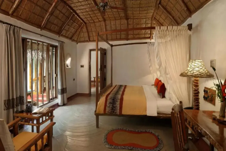 Evolve Back, Kabini