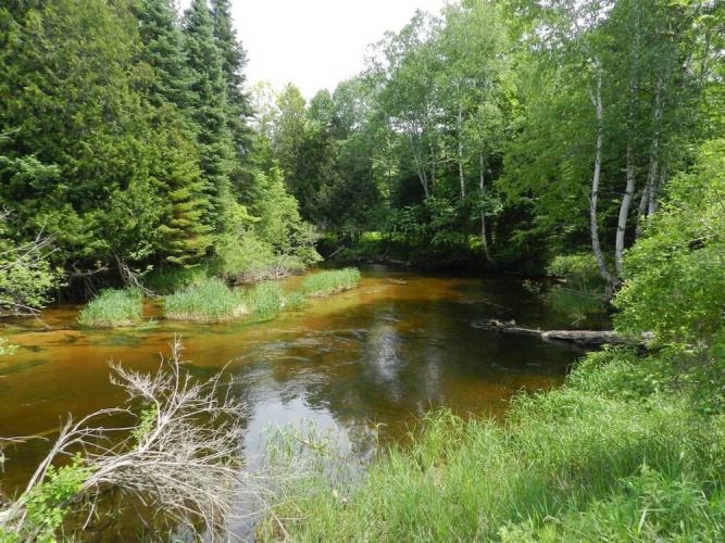 Cabins on Maple River