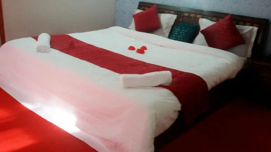 Hotel Alpine Manali