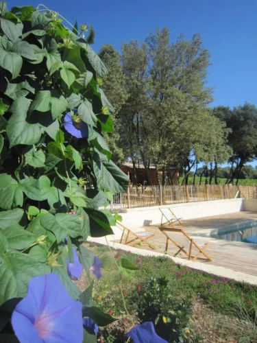 Les Cabanes de Carelle