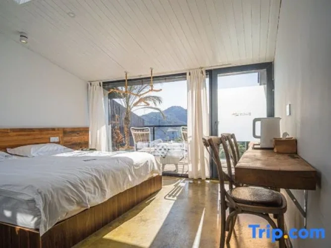 1 Bedroom Standard Double room