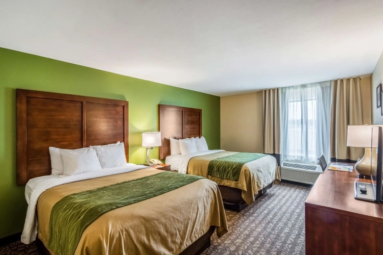 Standard Quadruple room