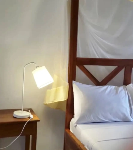 Standard Double room with balcony and with garden view