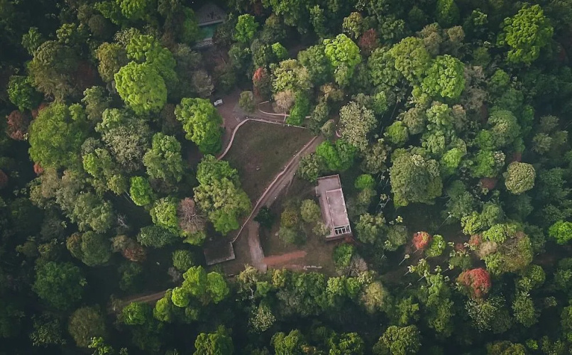 Vythiri Wild Forest Resort