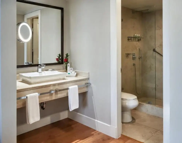 Business Double Suite