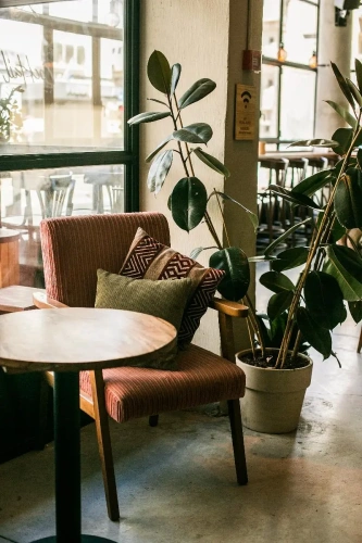 Domus Tlv