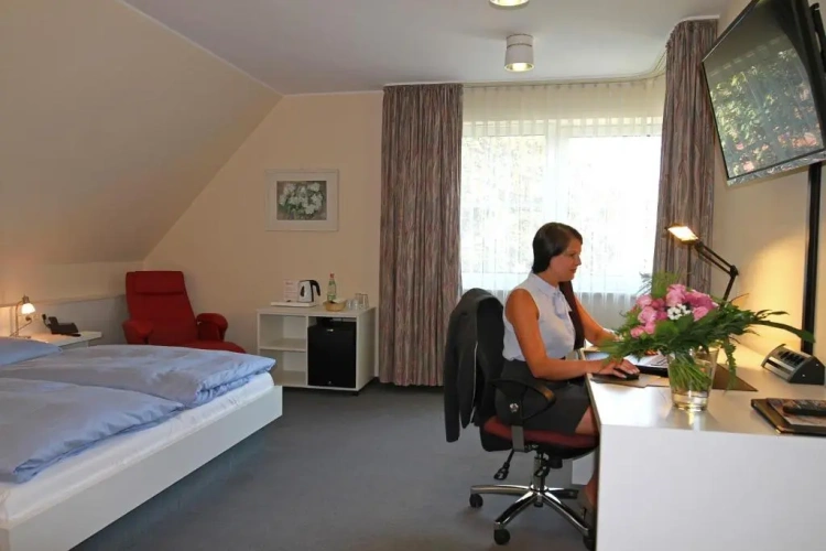 Standard Double room with balcony and with view