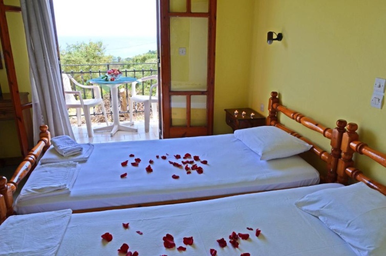 Standard Double room with balcony and with view