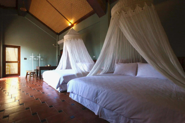 Murraya Paniculata Villa