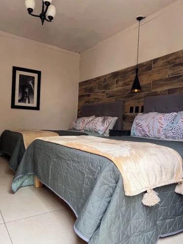 Black Tree Hotel Boutique